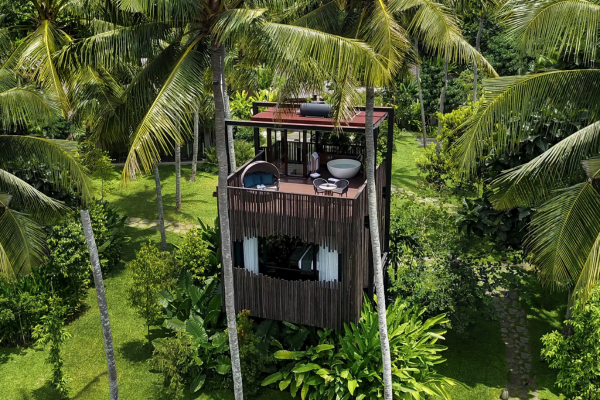 Tree Houses in Bali