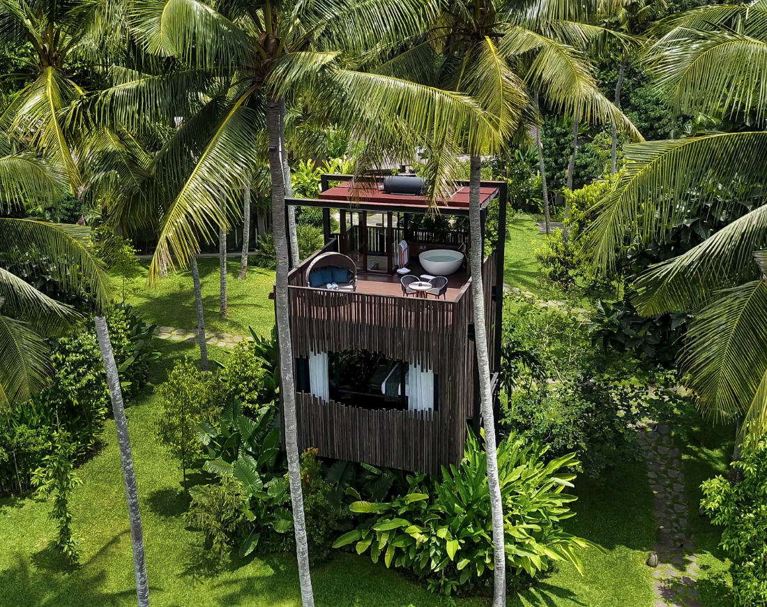 Tree Houses in Bali